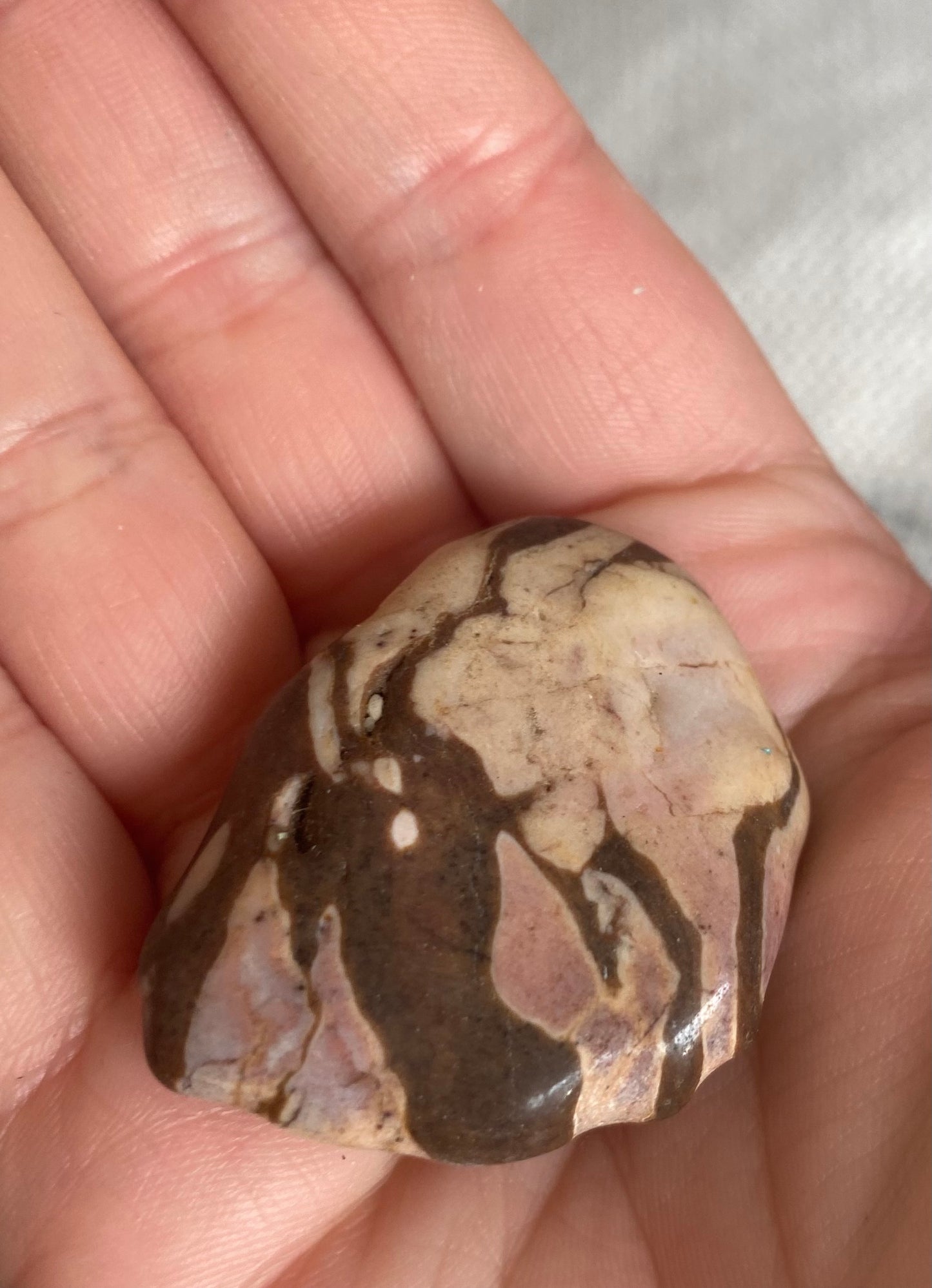 Zebra Jasper Pebble