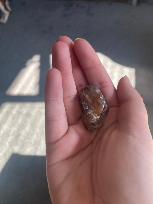 Amphibole Quartz/Angel Wing Phantom Quartz