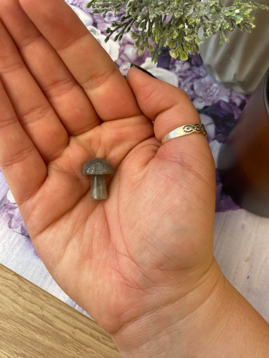 Labradorite Mushroom