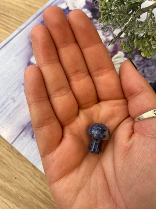 Sodalite Crystal Mushroom