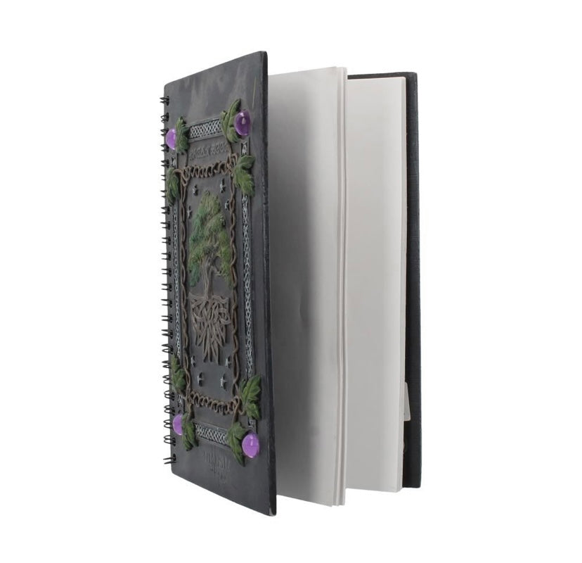 Dream Notebook