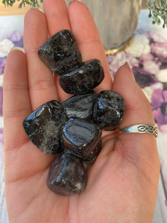 Black Tourmaline Tumblestone