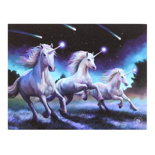 Shooting Stars Canvas Plaque by Anne Stokes